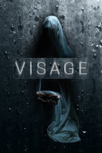 Visage download